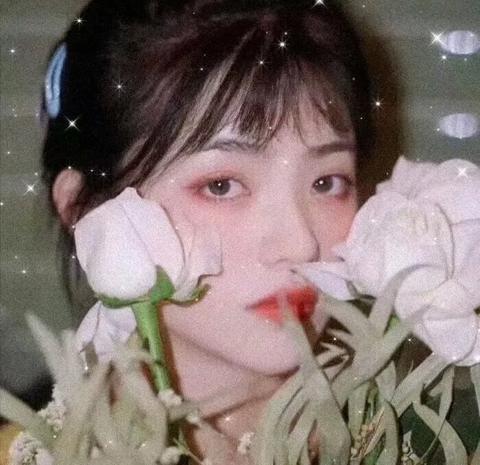 扪心问诊第一季